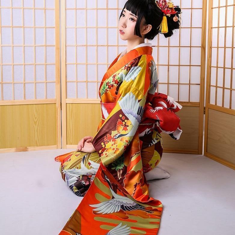 Kimono Femme Furisode Vol de Grues-